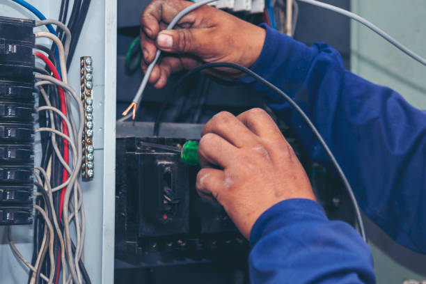 Best Affordable Electrician  in Athens, MI